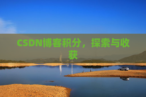 CSDN博客积分,探索与收获